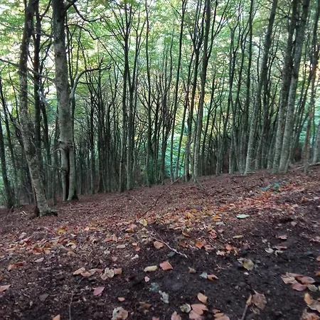 Bed and breakfast L'altra Casa 1933